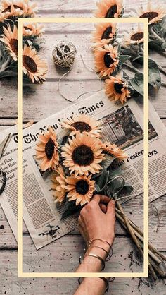 a person is arranging sunflowers on top of a newspaper