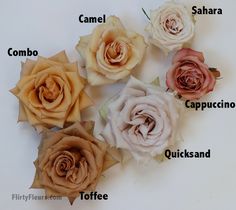 four different types of flowers on a white surface with words in spanish and english above them