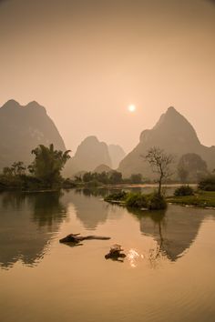 the sun is setting over some mountains in the distance, and there are water lilies floating on the surface