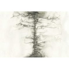 a black and white drawing of a tree