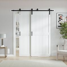 a living room with two white doors and a rug in front of the sliding door