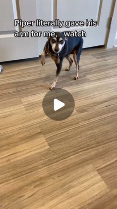 a dog standing on top of a hard wood floor next to a white door with words written below it