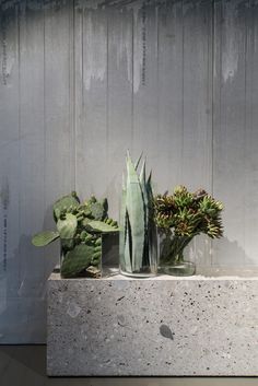 three vases with plants in them sitting on a concrete slab next to a wall