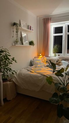 a bedroom with a bed, plant and window in the corner by the windowsill