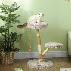 a cat sitting on top of a tree in a living room next to a potted plant