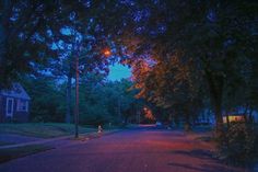 an empty street at night with no cars on it and trees lining the sides of the road