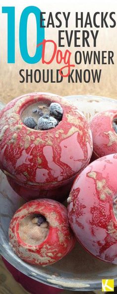 red donuts sitting on top of a metal pan covered in dirt with the words 10 easy hacks every dog owner should know