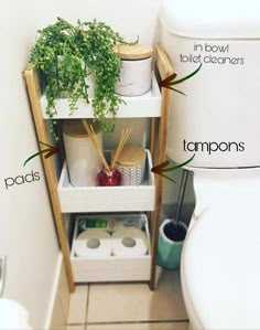 a bathroom with toilet paper, plants and other items on the shelf next to the toilet