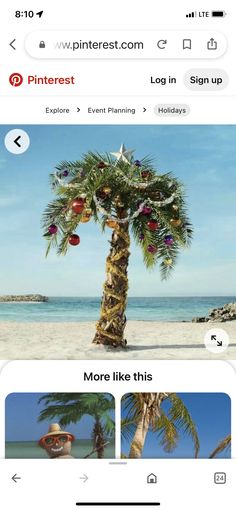 the pinterest app is open and shows pictures of palm trees on the beach