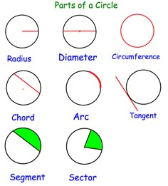 the parts of a circle with their corresponding segments