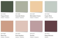 the color chart for different shades of paint