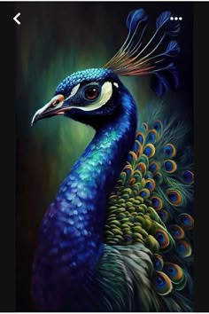 a painting of a peacock with feathers on it's head