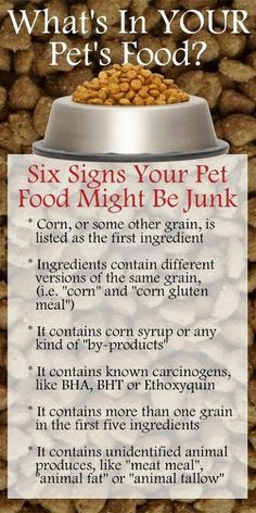 a sign that says, what's in your pet's food?