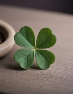 a four leaf clover sitting next to a small bowl