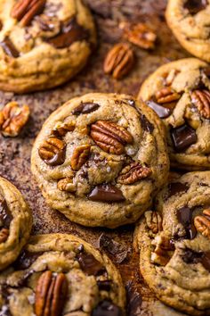 chocolate chip cookies with pecans on top