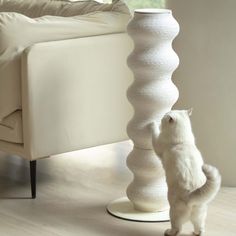 a white cat standing on its hind legs in front of a tall vase and chair