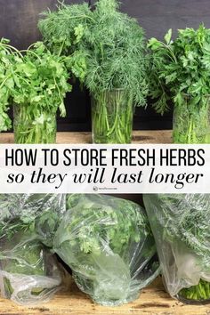 fresh herbs are in vases with the words how to store fresh herbs so they will last longer