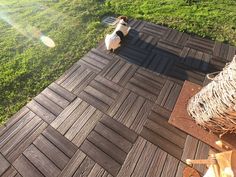 a dog standing on top of a wooden floor next to a grass covered field and straw bale