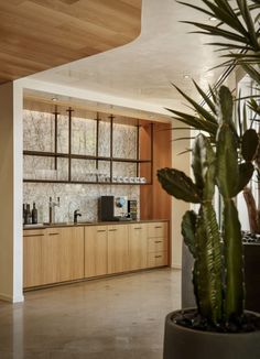 a kitchen with wooden cabinets and plants in it