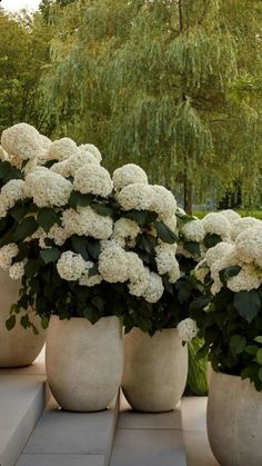 three large white vases filled with flowers on top of a stone bench next to trees