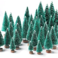 small green trees are lined up in rows on wooden bases, with snow falling off the tops