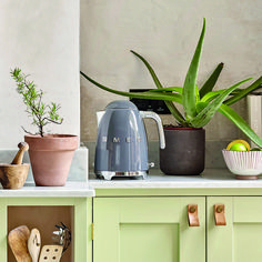 some plants are sitting on top of a green cabinet