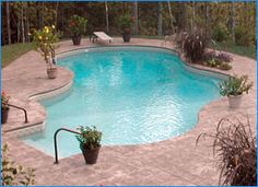 an empty swimming pool surrounded by plants and trees