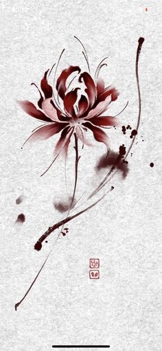 Dr Tattoo, Lycoris Radiata, Lily Wallpaper, Red Spider Lily, Spider Lily, Lily Tattoo, Tattoo Style Drawings, Art Tattoos, Elegant Tattoos