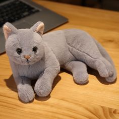 a gray cat laying on top of a wooden table next to a laptop computer and mouse