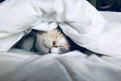 an orange and white cat sleeping under a blanket on top of a bed covered in white sheets