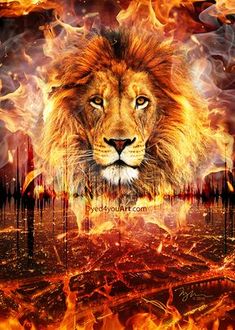 a lion surrounded by fire and flames