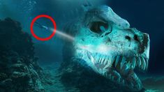 an image of a giant fish head with a red circle in it's mouth