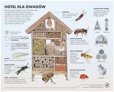 an insect house is shown with information about the different types of bugs and other insects