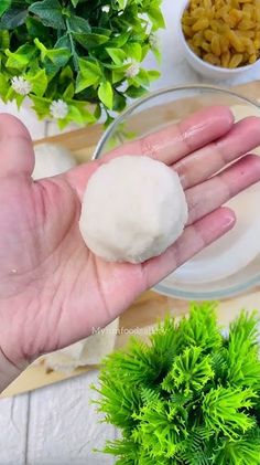 a hand holding a ball of food in front of a plant and bowl of macaroni