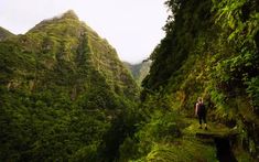 two people standing on the edge of a narrow mountain stream surrounded by lush green mountains