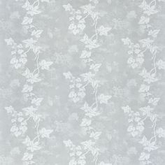 an image of a wallpaper with white flowers on grey background in shades of gray and white