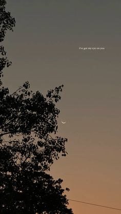 the moon is setting behind some trees