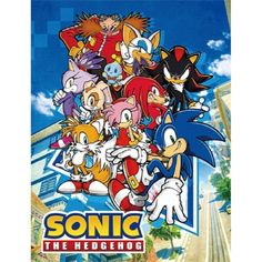 the poster for sonic the hedgehog, featuring many different characters and their name on it