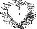 a drawing of a heart in the middle of it's frame, vintage line drawing or engraving