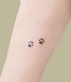 small paw prints on the left arm and right leg, with two smaller paws in between them