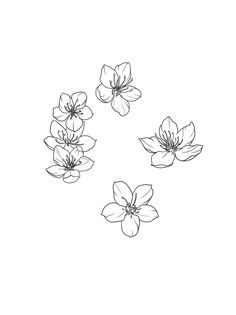 four flowers are shown in the shape of a circle