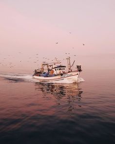 a boat is traveling through the water with birds flying around it and in the background