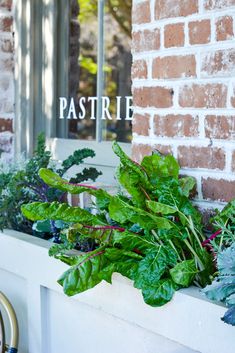 a window sill filled with lots of green plants