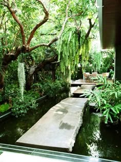 a garden with water and trees in the background, along with a walkway leading to a deck