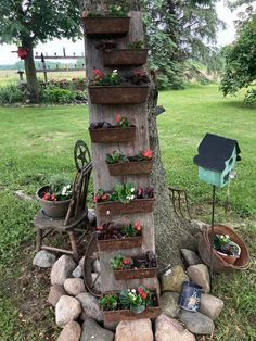 a tree that has some plants growing out of it