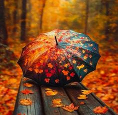 an open umbrella sitting on top of a wooden bench in the middle of autumn leaves