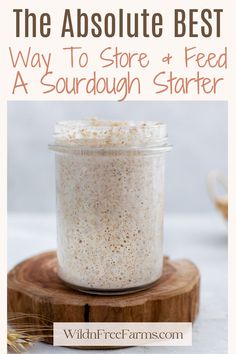 maintain a sourdough starter How To Store Sourdough Starter, How To Gift Sourdough Starter, Making Sourdough Bread, Starter Recipe, Baked Good, Homemade Sourdough Bread, Homemade Sourdough, Artisan Bread Recipes, Sourdough Starter Recipe