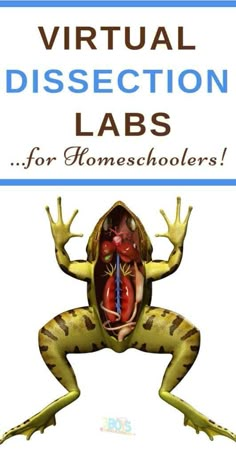 a frog with the words virtual dissection labs for homeschoolers on it