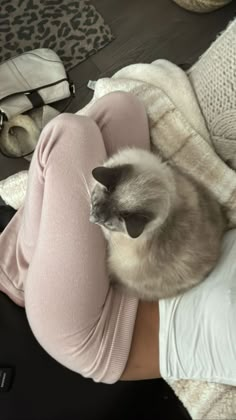 a woman laying on her stomach with a cat in her lap