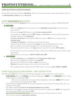 a green and white text description for an article on photosyntheism, written in english